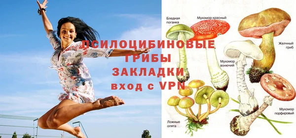бошки Новокубанск