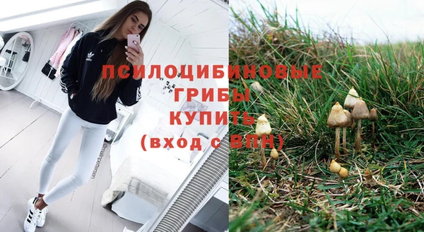 соль курить ск Зеленодольск