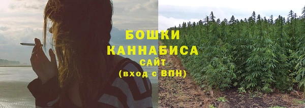 гашишное масло Новодвинск