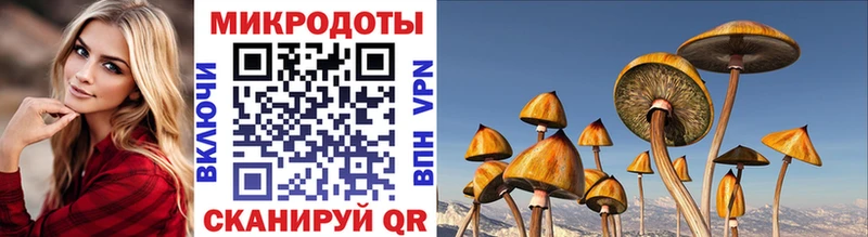 где купить   Белореченск  Псилоцибиновые грибы GOLDEN TEACHER 