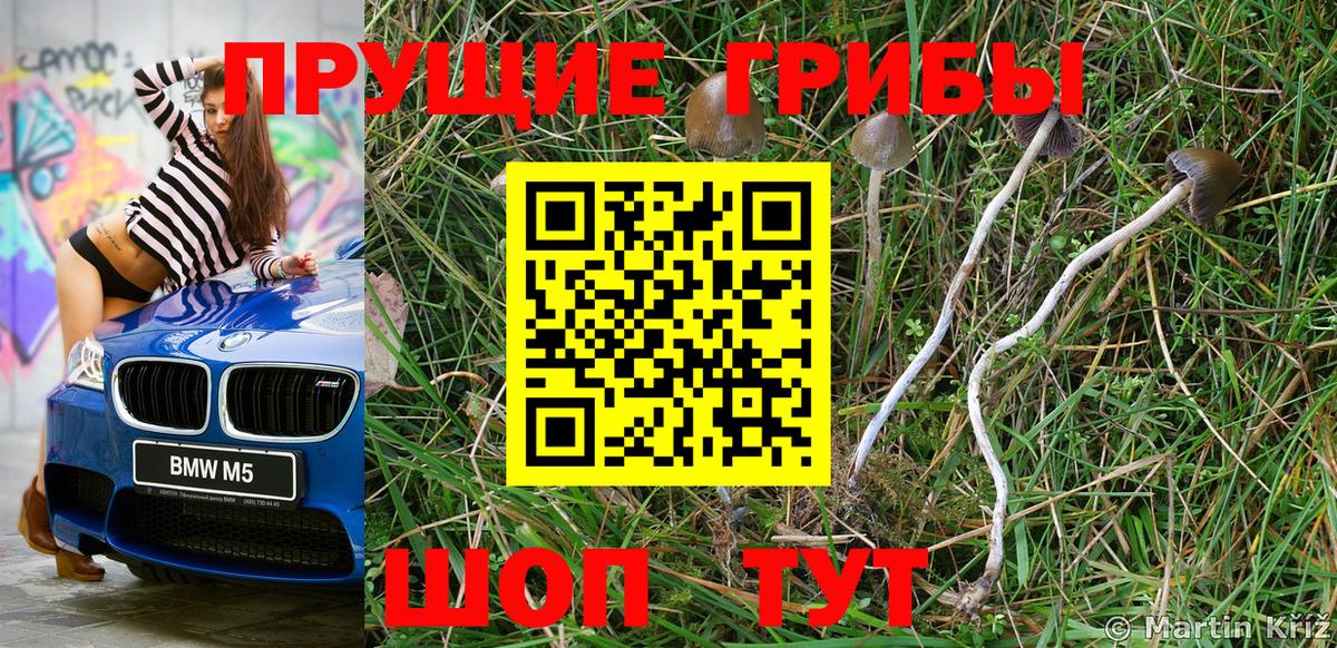 Белореченск  Псилоцибиновые грибы Magic Shrooms  Галлюциногенные грибы прущие грибы  Вход с VPN 