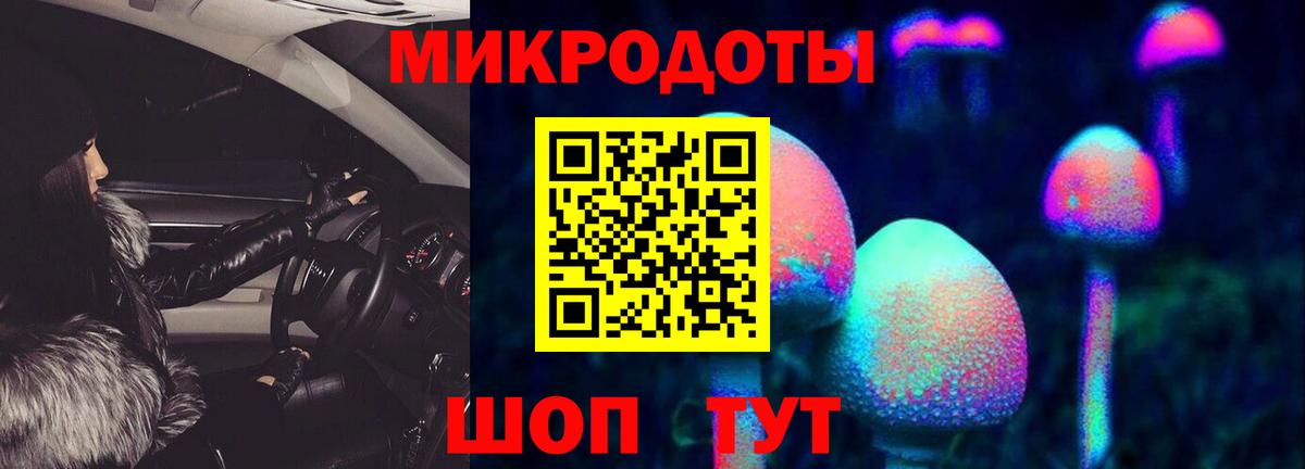 Галлюциногенные грибы Psilocybine cubensis  Белореченск 